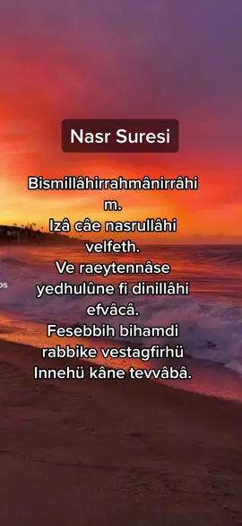 Nasr Suresi #nasrsurah #nasrsuresi #fy #fypシ #muslimtiktok #islam #helaltiktok #kuranikerim #kuran #quranrecitation #quran_alkarim #quranvideo #huzur #peace #Love #surah #surahalnasr 