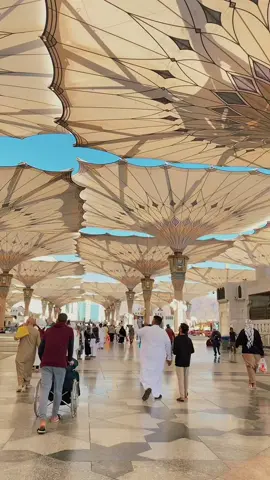 Best healing masyaAllah🤎✨ Semoga bisa kesini lagi dilain waktu aamiinn ya Allah #fypシ #xyzbca #mekkah #madinah #mekkahmadinah #2023 #fyp 