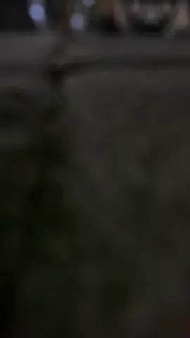 sendiri itu dinikmati bukan disambat'i heee~ 