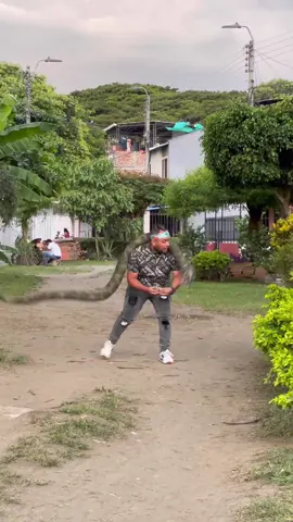 La serpiente melosa 🤣🐍 #parati #viral #fyp #tendencia #elcaramelaje #humor #entretenimiento #comedia #risas #sorpresa #palmira #video #chiste