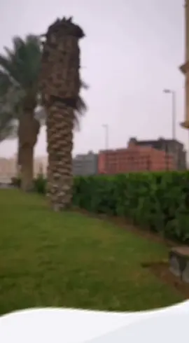 #explore #اكسبلور 