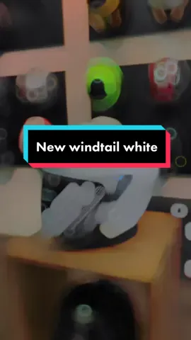 New Windtail Solid Colour  White Glossy In Action 🔥 #rsvhelmets #rsvwindtail 