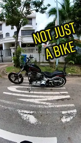 Ain't just a bike, it's a lifestyle 😁🤙🏻 . #insta360 #insta360x3 #insta360motorcycle #insta360sg #harleydavidson #custommotorcycles  #sgbikes #biketok 
