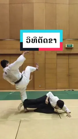 ວິທີຕັດຂາ ສຳລັບຄົນທີ່ເຕະກາຍແອວຂຶ້ນໄປ #AikidoLaos 
