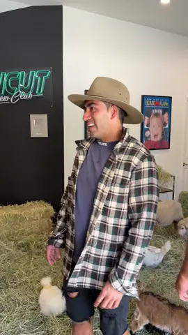 They turned the office into a Farm! 😂 #funny #animals #goat #foryou #fyp