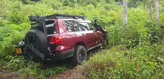 I promise there is a road there #srilanka #toyota #landcruiser #200serieslandcruiser   #offthebeatentrack #livelife #srilanka4wd #offroadinginsrilanka 