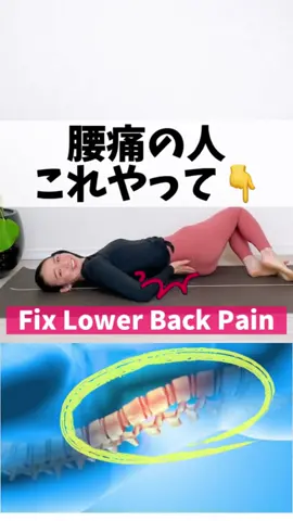 【背中が凝ってる、腰痛いなぁ⏩腰背中のストレッチ】#ストレッチ #腰痛#背中の痛み