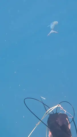 How sad do you think he was 😭 #fyp #spearfishing #fishing 