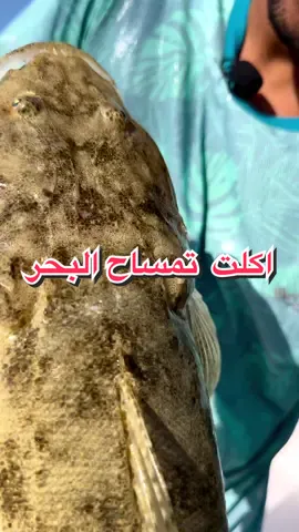 الوحرة جدا جميلة منشن الي ما يحبها 😅 #fishing #صيد_السمك #fyp #fypシ 