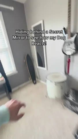 Wait till the end 💀