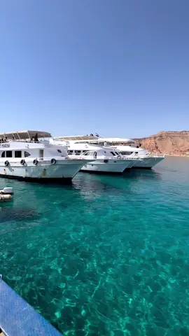 #اتفرج_على_تيك_توك #حلوه_يا_بلدي 