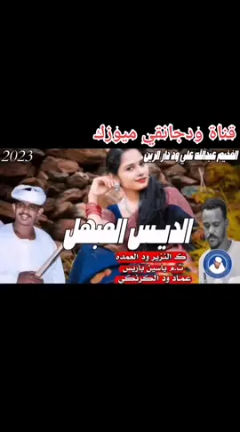 #جديدالفنان #عبدالله_وددارالزين #الديس_المبهل#قناة_ودجانقي_ميوزك #ودجانقي😍 #سودانيز_تيك_توك_مشاهير_السودان 