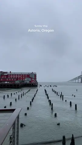 Sunday Vlog: Mood - Dark & Rainy Location - Oregon Coast, Astoria (4ish hr drive from Seattle). Bonus points for Beached Whale, Elk, Brunch with a View, and of course my best friends. #sundayvlog #travelvlog #oregoncoast #astoriaoregon #daytrip #roadtrip #thingstodonearseattle #pnw #pnwadventures 
