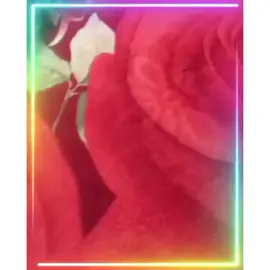 لو على الفلوس رشينا 👿