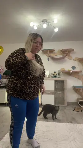 Co mi pokazał kot?🤣