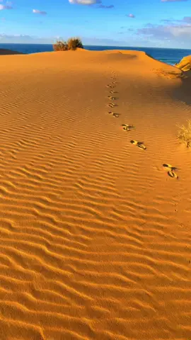 ##شاطئ #كاب #إيفي #مستغانم #الجزائر🇩🇿 #تصويري📷✌️ 