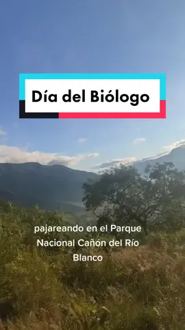 Con dedicatoria especial a todos los biólogos, no importa que seas de bota 🥾 bata 🥼 o corbata 👔 !Feliz día¡ #diadelbiologo #birding #birdingtiktok #naturaleza #nature #orizabaveracruz #altasmontañasdeveracruz 