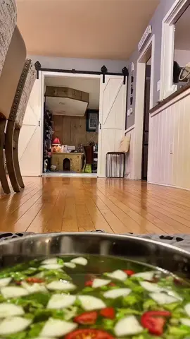 Original Bonnie! Apparently there is an imposter stealing my videos from instagram! 😳 Bonnie is still the winner🥰❤️🌿🦆 #asmr #funny #adorable #pet #instagood #youtube #cute #funnyvideo #asmrsounds #runner #duck #baby #tiktokpets #Love #feet 