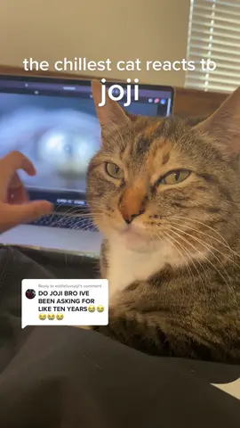 Replying to @eddieluvsjoji more Joji songs on the way ❤️‍🔥 #joji #glimpseofus #jojitok #pop #rnb #rap #catsoftiktok #cats #funny #fyp