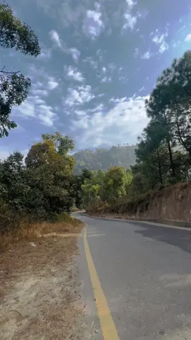 #ashis4teen #wheelie