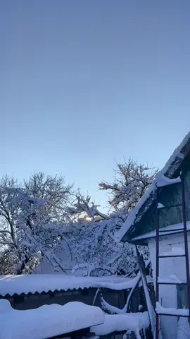 зимове село на Полтавщині #українськесело #україна #зима #село #полтавщина #пузиково 