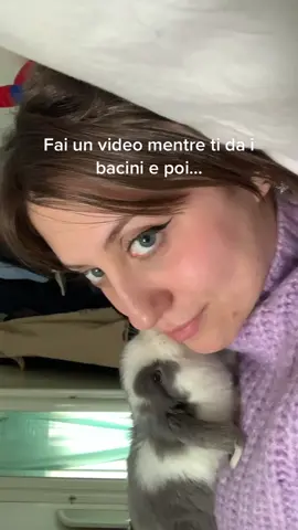 la tenerezza, la sensualità, la pipì addosso..questo sei! #rabbit#Love#u#foru#foryou#furbo  