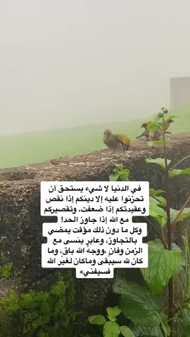 اللهم لا تجعل الدنيا وأهلها اكبر همنا !  #اكسبلور #fyp #اكسبلور؟ #viral  #fypシ #foryoupage #viraltiktok 