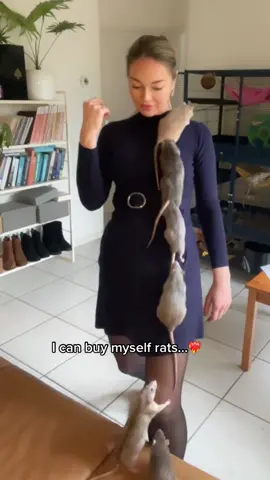 I can buy myself rats!!! #petrat #petratsoftiktok #ratsarepetstoo #rats #cute #funny #fyp 