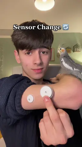 An unexpected visitor at the end checking out my new FreeStyle Libre 3 sensor 👀🐦 #diabetes #insulin #t1d #diabetesawareness #t1dawareness #sensorchange #typeonediabetes #t1 #freestylelibreambassador #t1diabetic #t1diabetes 