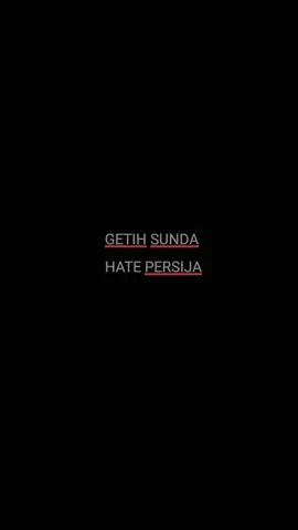 #CapCut #fyp #persija #thejakmania 