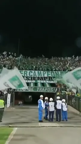 Juega el verdeeeee y si muero hoy el cielo puede esperar!! 💚🇳🇬 #lds #lds_siemprepresentes #sdvsf 