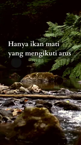 lawan arus #quotes #motivasi #kehidupan #katabijak #fyp 