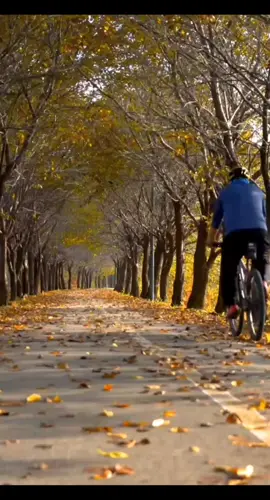 Escuchate✨️#decisión #feliz #reflexion  #vida #interesante