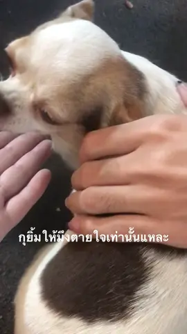 กุยิ้มให้มึงตายใจเท่านั้นแระค่ะ เชิ่ด /