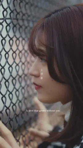 新曲「優しい恋人」Release🌙 #音源使ってね #オリジナル曲 #優しい恋人 #しまも