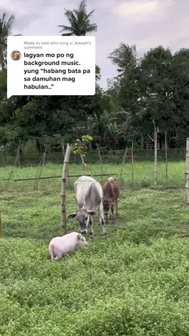 Replying to @wait sino tong si Joseph 😭