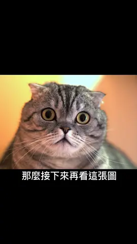 #視覺震撼 眼見不一定為憑，你還相信自己的眼睛嗎？最後的字你能打的出來嗎？
