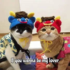 #fyp #gatitos #spicegirl #música #dedicar #wannabe #cats #parati 