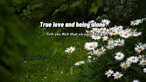 Why Not Me? • Enrique Iglesias / Vietsub  #xh #musicstory #lyrics #mylnh2 #lovestory 