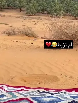 #لم_تزبط_معنا #الشعب_الصيني_ماله_حل😂😂 #fypシ #اقتباسات 