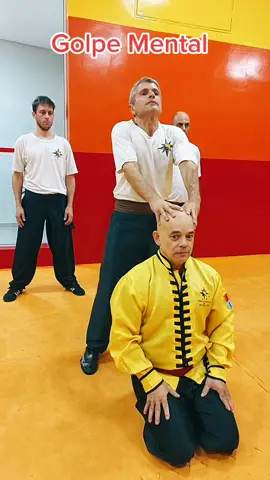 TSKF Kung Fu #tskf #kungfu #wushu #louvaadeus #artemarcial #artesmarciais #shaolin #chikung #camisadeferro #palmadeferro