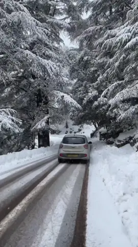 📍 Tikejda, bouira, algeria 🇩🇿 . . #snowfall #snow #bestroadtrips #roadtrips #chalet #trees #cedar #pinale #fir #winter #wanderlust #landscape #nature #tikejda #algeria #fyp #foryou #foryoupage 