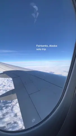 the most beautiful place  #alaska #fairbanks #fairbanksalaska #northpolealaska #winter #snow #wintervacay #wintervacation #solotravel #solotrip 