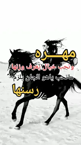 #يلقبوني_بالمكتئبة  #ليش_مافي_ددعم🙏  مهره وتحب خيال يعرف وزنها ماتحب ياهو الجان يلزم رسنها 😎✌️