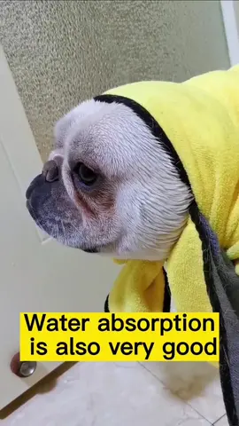 Try now our pet towel water absorbent easy to dry#supersale #valuepacked #dogtowel #absorbent 