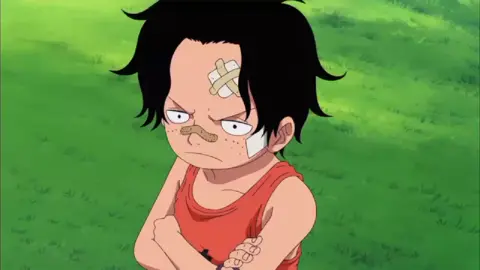 top 5 most saddest deaths #anime #onepiece #luffy #firefistace 