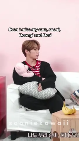 Lee know was ready to kiss them  #straykids #akz #스트레이키즈 #leeknow #Felix #seungmin 