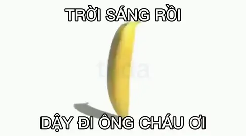 #chuongbaothuc dậy đi ông cháu ơiii 🛎