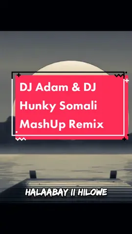 dj Adam somali mashup remix part one #djhunkyremix #djadam #remix #dj #somalitiktok #somalimashup🤩 #djhunky #mashup #tropical #house @🎹ADAM ON THE BEAT🎛 