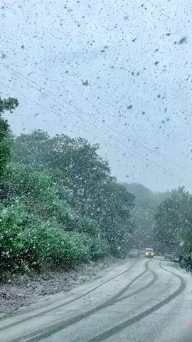 #أغاني_تركية #ثلج_شتاء #جندوبة_تونس_الخضراء #عين_دراهم #بني_مطير 🇹🇳🇹🇳🇹🇳💚💚💚